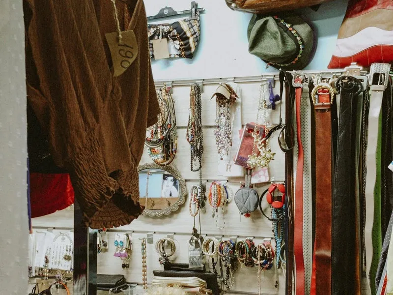 Colourful pet accessories on display